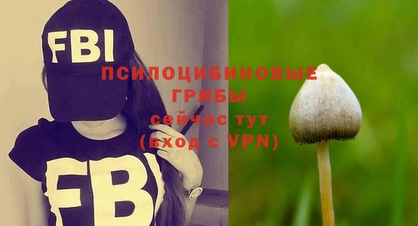 синтетический гашиш Медвежьегорск