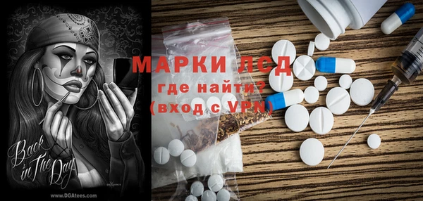прущие грибы Алексеевка