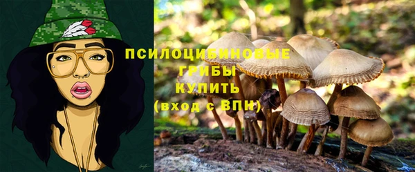 прущие грибы Алексеевка
