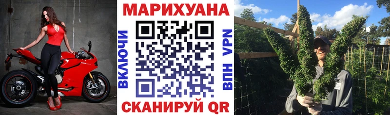 Марихуана конопля Домодедово